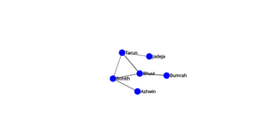 Network Graph