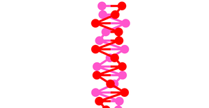Fork of DNA Animation