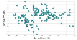 Iris Scatter Plot