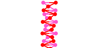Fork of DNA Animation