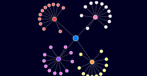Network Graph