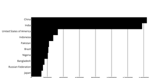 UN World Population 2020