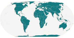 World map with React & D3