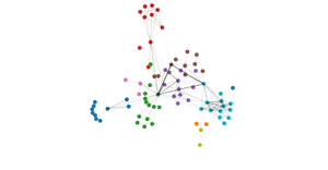 Fork of  Network
