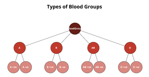 Fork of Family Tree