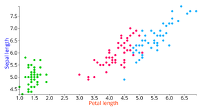 Iris Dataset Scatter Plot with D3.js