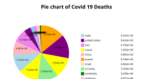 Pie Chart of Covid 19 Deaths