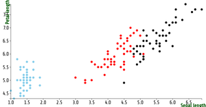 Scatter Plot