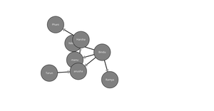 Social Network Graph