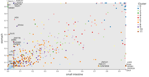 Scatter Plot of ASIF between Tissues