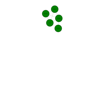 ICE8_Network