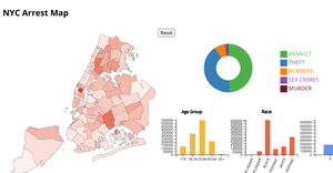 NYC Arrest