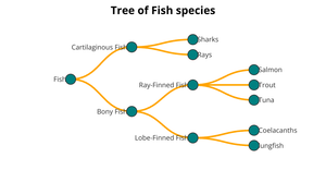 Fork of Fish Family Species