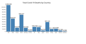 covid deaths