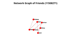 ICE - 8 Network Graph of Friends (11508271)