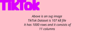 Fouzan Uddin's TikTok Dataset