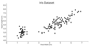 Dynamic D3 Scatterplot