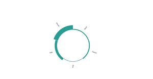 Fork of  Circular Braplot 2016