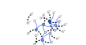 Force Directed Graph