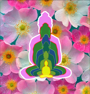 Activity 5 - Question 3