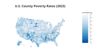 D3 Choropleth Map
