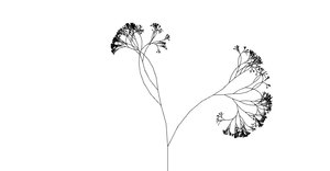 Tree Fractal with Randomness