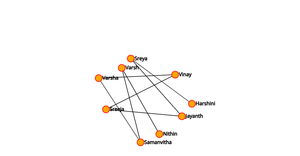 ICE-8 Social Network graph