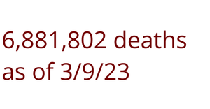 Summarizing Corona Virus Data