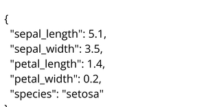 The Iris Dataset