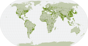 world map with points
