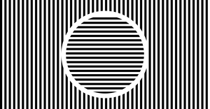 Full D3 Version Sol LeWitt Reproduction