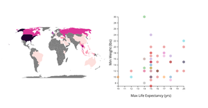 Fork of Fork of Cat Data draft 3 linking the graphs