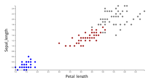 Creating a Scatter Plot with D3.js
