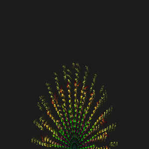 Fireworks on Canvas