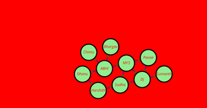 Network Graph