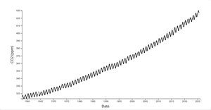 Line Chart with React & D3