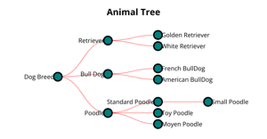 Fork of ICE 8 - Animal Tree