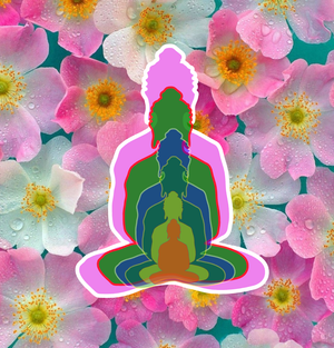 Budda question 3