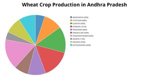 Andhra Pradesh Wheat Crop Production
