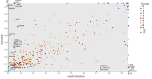 Scatter Plot of ASIF between Tissues