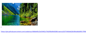 Activity 6 Task 2 and 3
