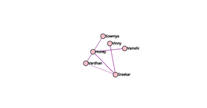 ICE 8- social Network graphic