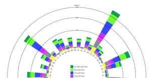 Radial pie - Player statistics