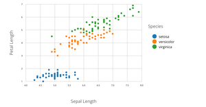 Scatter Plot