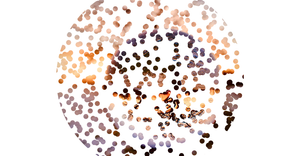 Scatter Plot with Image Mask