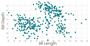 Penguin Scatter Plot