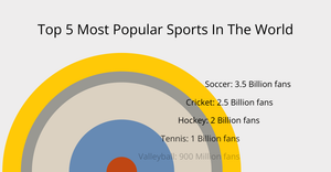 Most Popular Sports Ranked By Total Fans