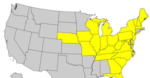 Fixed projection for US States