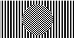 Sol Lewitt Alternative - Rotate Animation
