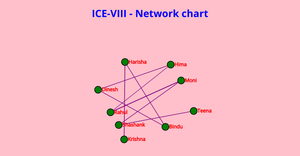 ICE-VIII- Network Graph